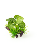 Plante Artificiale pentru Acvariu – Decor Natural, Sigur pentru Pesti, Usor de Intretinut